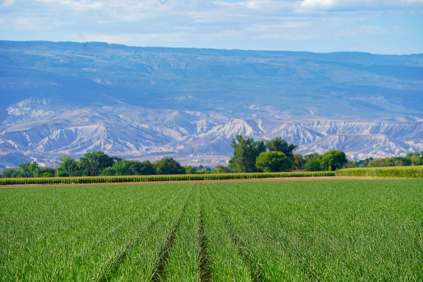 178 Acres of Agricultural Land for Sale in Delta, Colorado