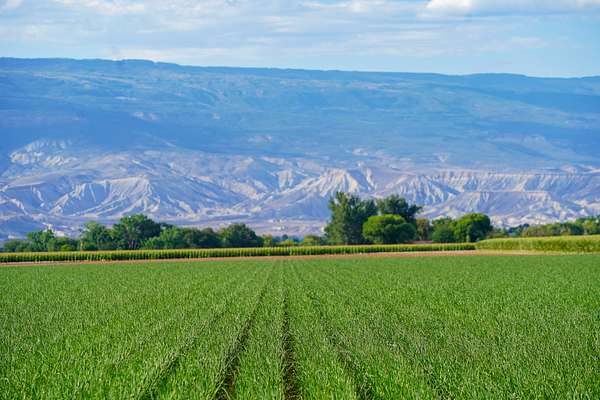 178 Acres of Agricultural Land for Sale in Delta, Colorado