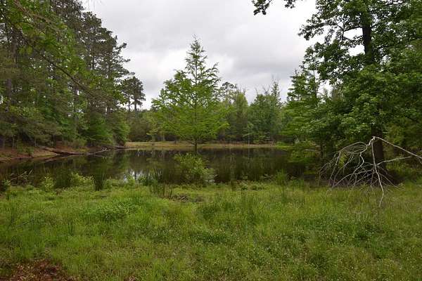 125 Acres of Recreational Land with Home for Sale in Saline, Louisiana