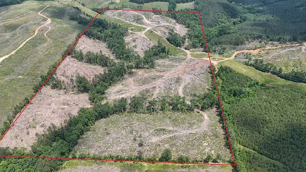 82 Acres of Recreational Land for Sale in Hamilton, Alabama