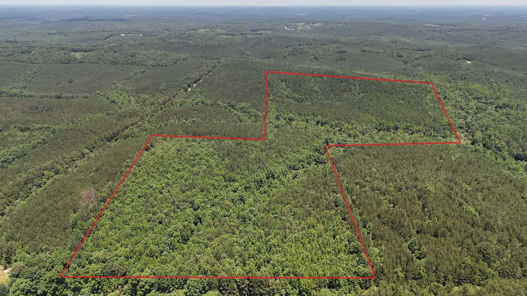 70 Acres of Recreational Land for Sale in Double Springs, Alabama