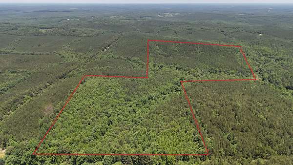 70 Acres of Recreational Land for Sale in Double Springs, Alabama
