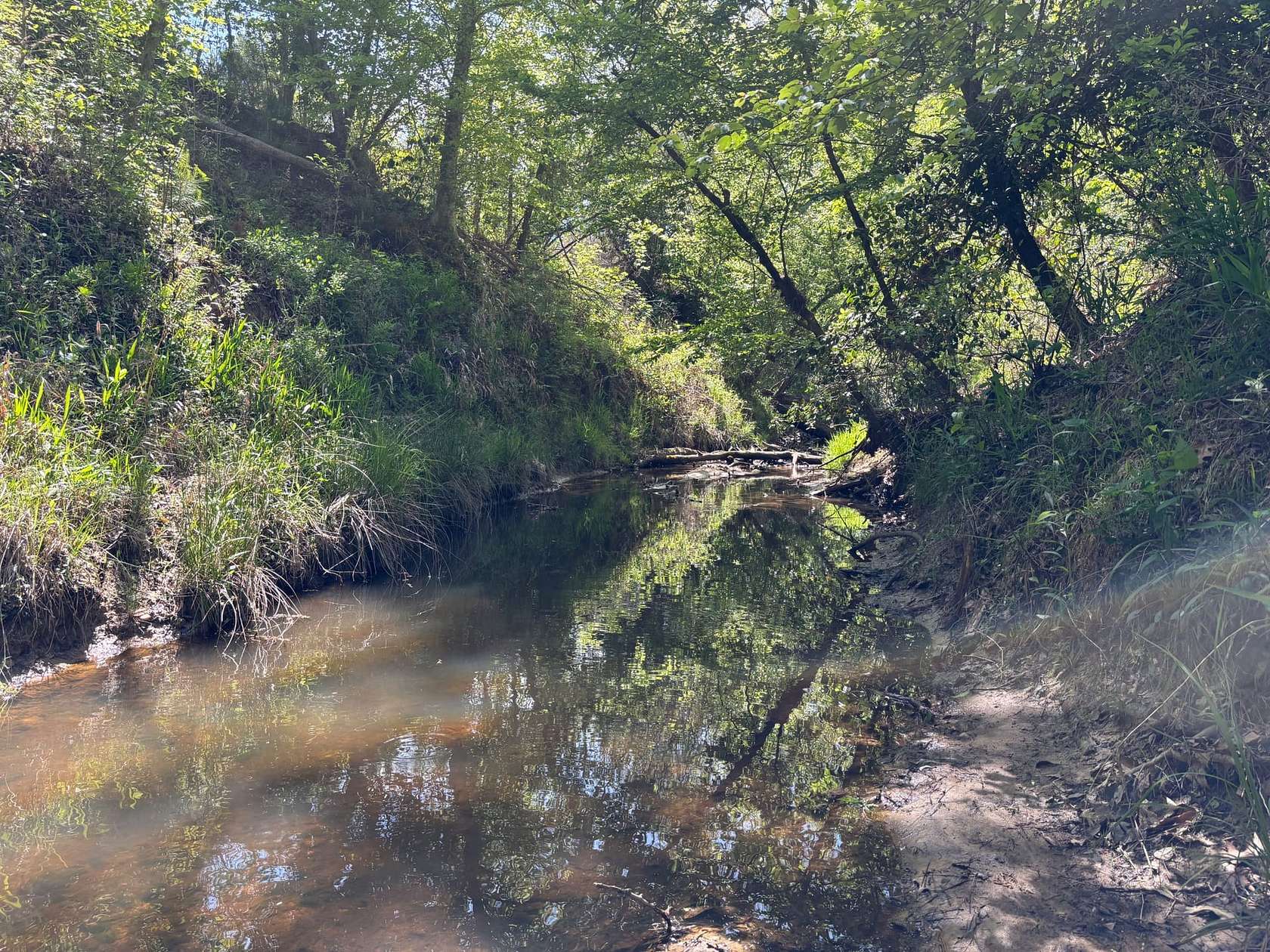 60 Acres of Recreational Land for Sale in Mount Holly, Arkansas