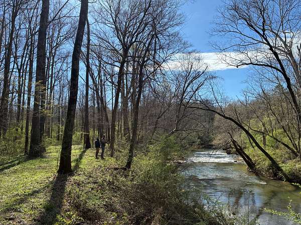 158 Acres of Recreational Land for Sale in Brookside, Alabama