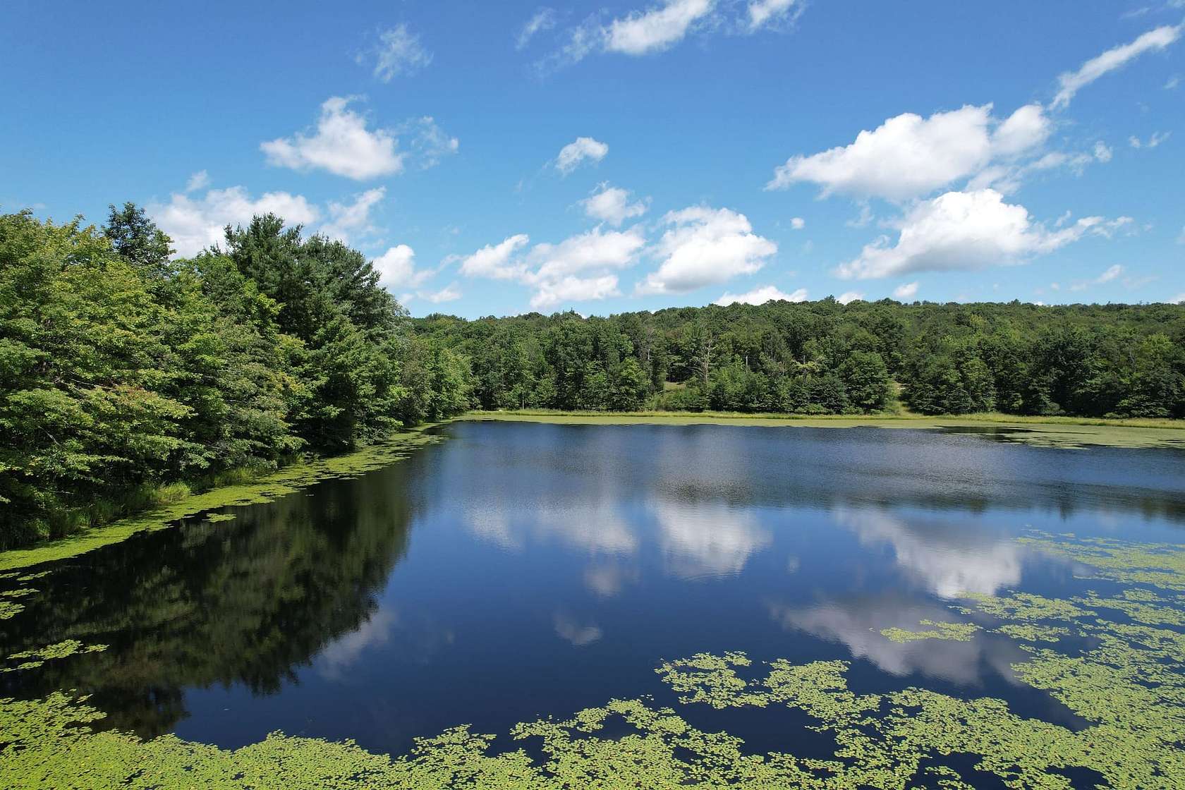 39 Acres of Land for Sale in Rockwood, Pennsylvania