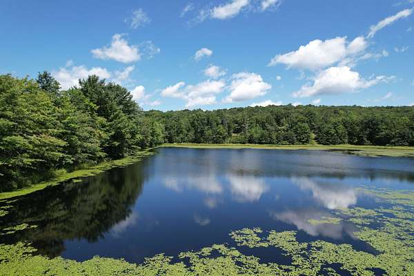 39 Acres of Land for Sale in Rockwood, Pennsylvania