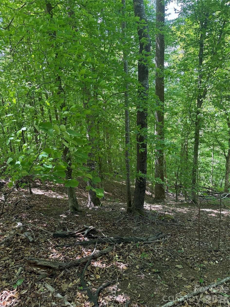 3.35 Acres of Residential Land for Sale in Rutherfordton, North Carolina