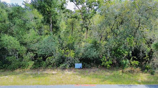 0.29 Acres of Residential Land for Sale in Ocala, Florida