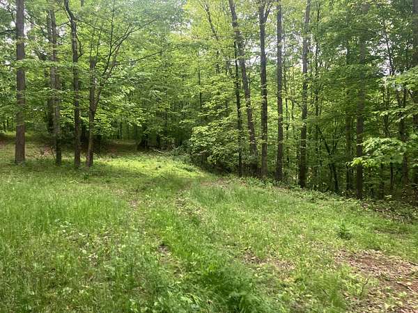 141 Acres of Recreational & Residential Land for Sale in Exchange, West Virginia