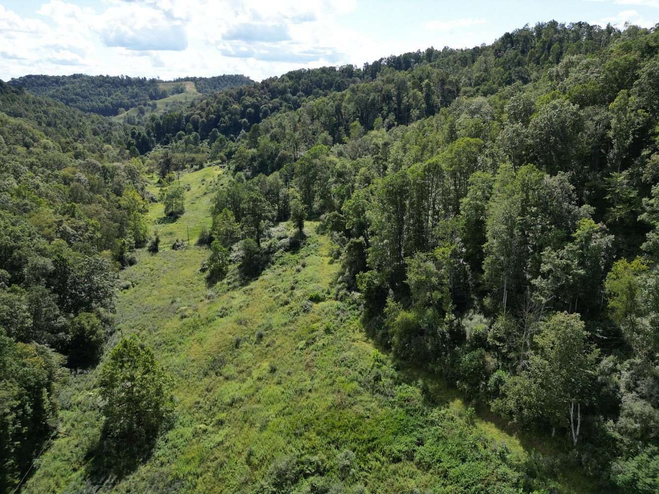 184 Acres of Land for Sale in Weston, West Virginia