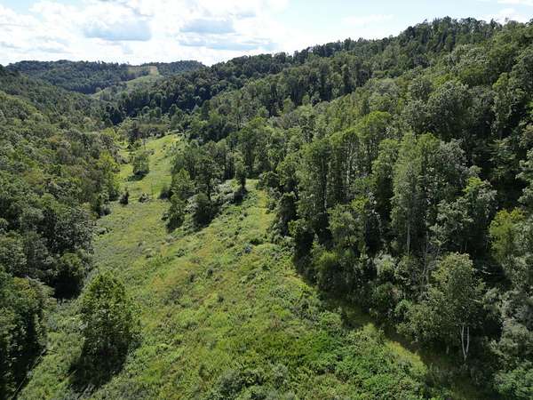 184 Acres of Land for Sale in Weston, West Virginia