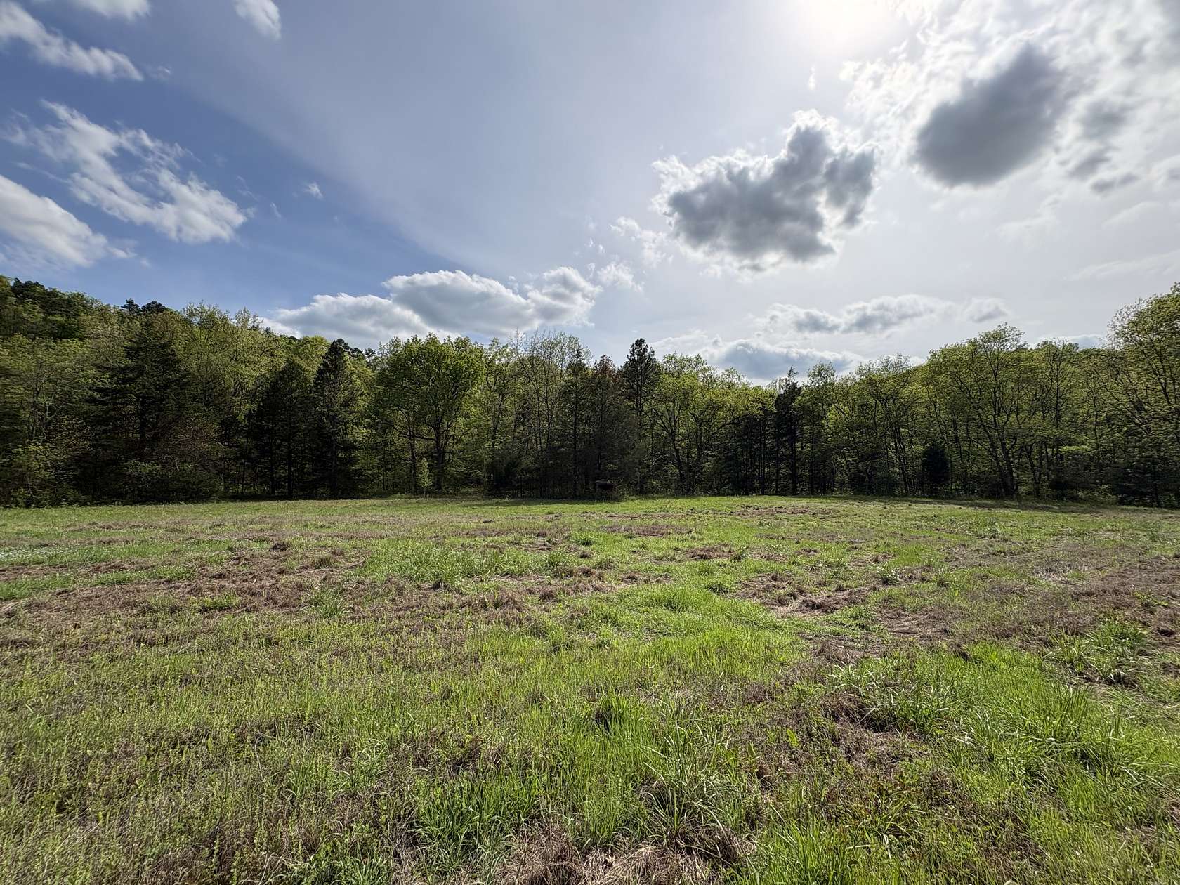 40 Acres of Land for Sale in Duke, Missouri