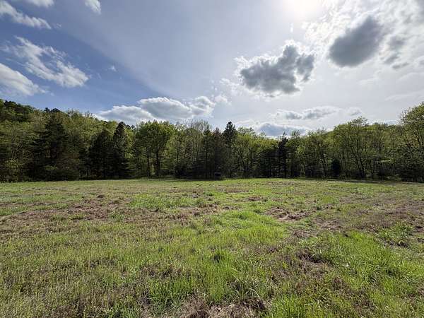 40 Acres of Land for Sale in Duke, Missouri