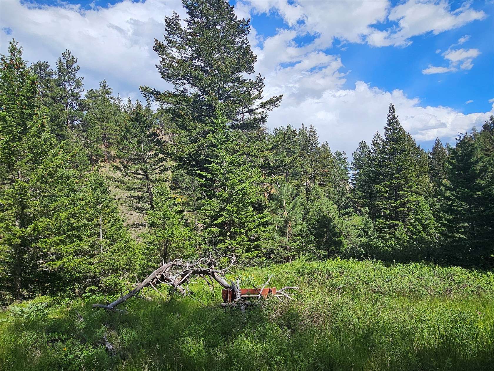 20 Acres of Recreational Land for Sale in Cascade, Montana