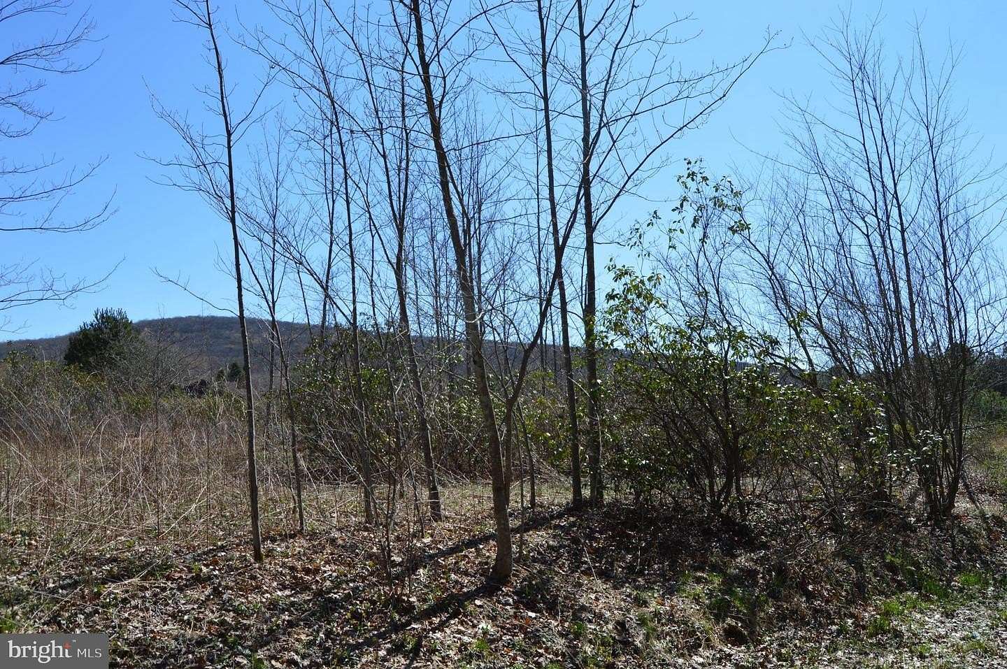1 Acre of Residential Land for Sale in Terra Alta, West Virginia