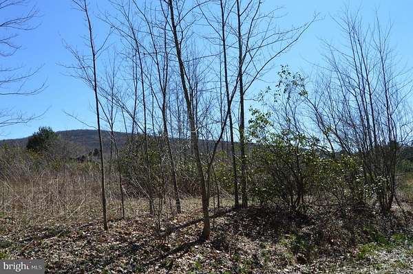 1 Acre of Residential Land for Sale in Terra Alta, West Virginia