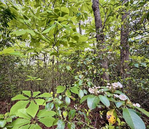 1.43 Acres of Land for Sale in Gatlinburg, Tennessee