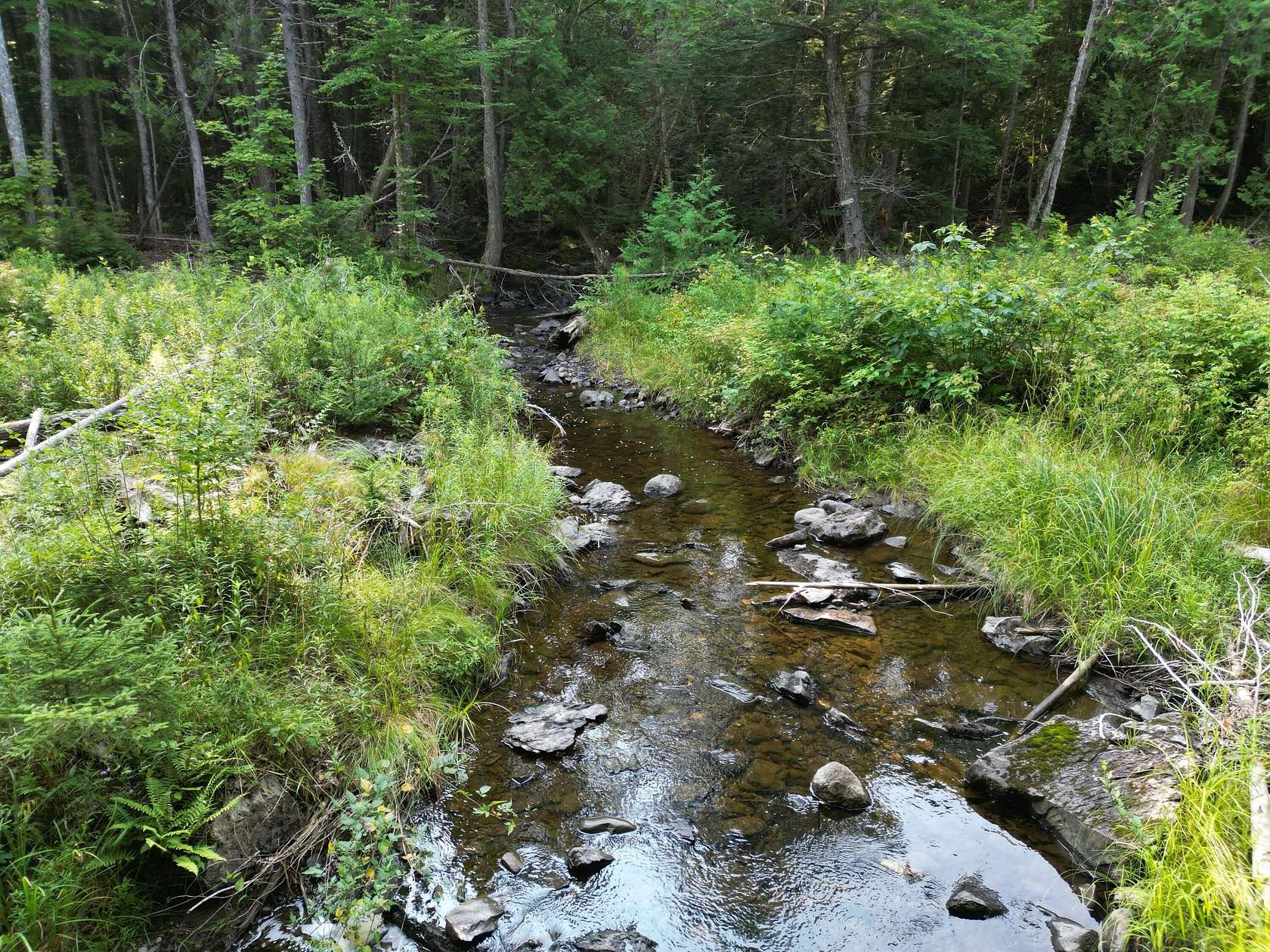66.7 Acres of Recreational & Residential Land for Sale in Springfield, Maine