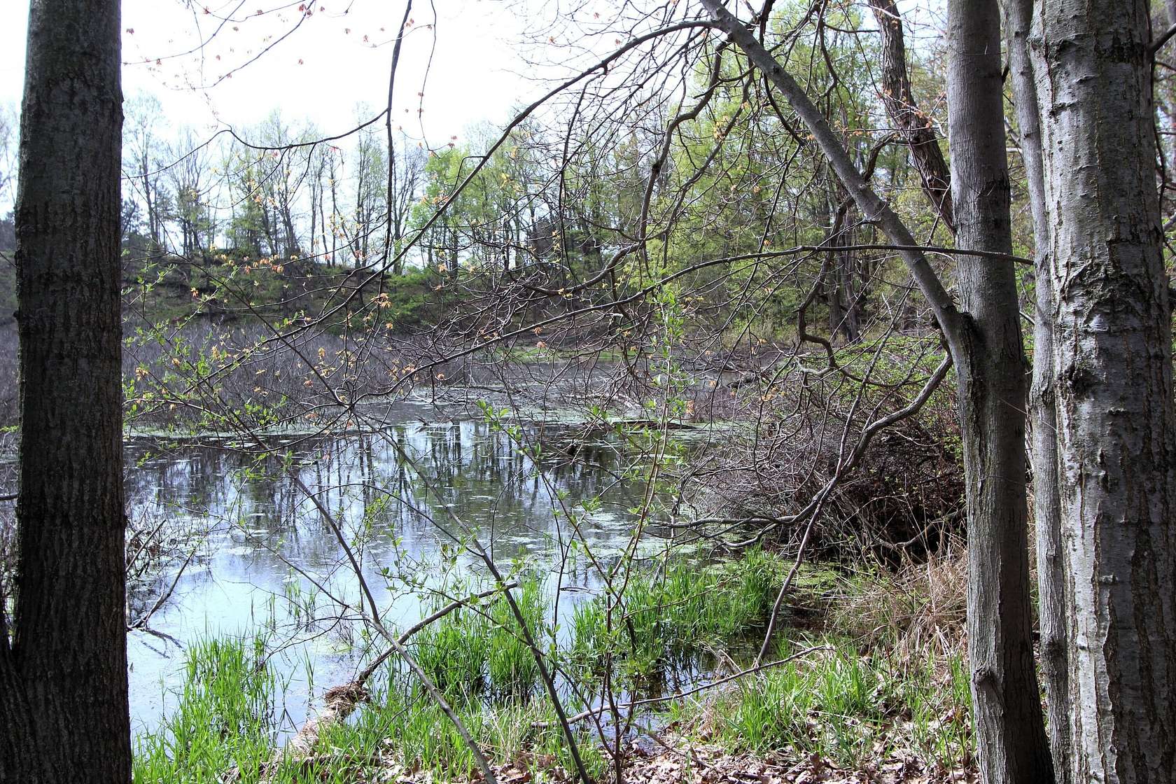 8.86 Acres of Land for Sale in Portland, Michigan