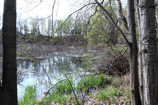 8.86 Acres of Land for Sale in Portland, Michigan