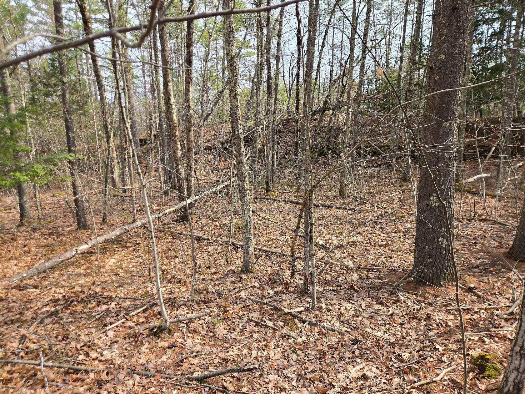 6 Acres of Residential Land for Sale in Barrington, New Hampshire