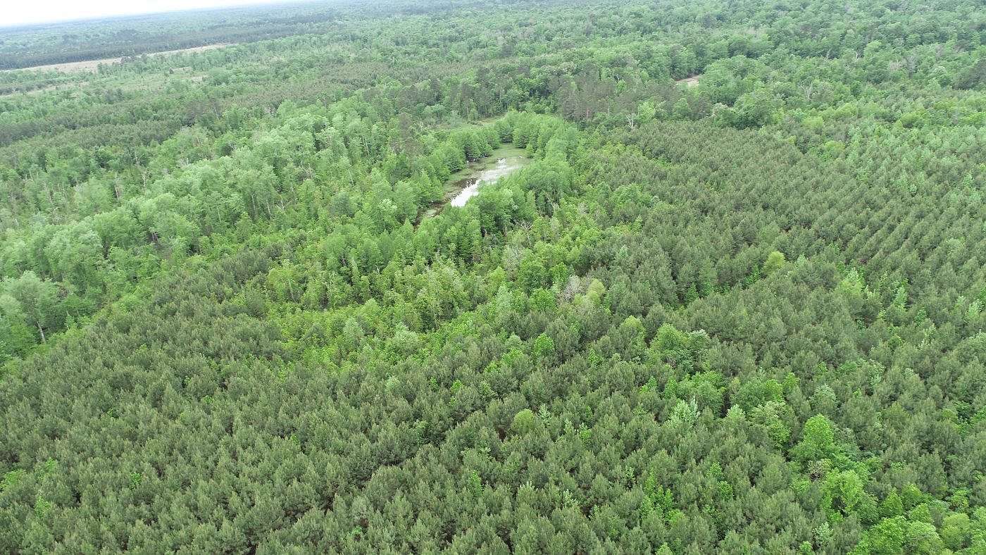 21.3 Acres of Recreational Land for Sale in Merryville, Louisiana