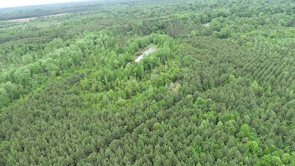 21.3 Acres of Recreational Land for Sale in Merryville, Louisiana