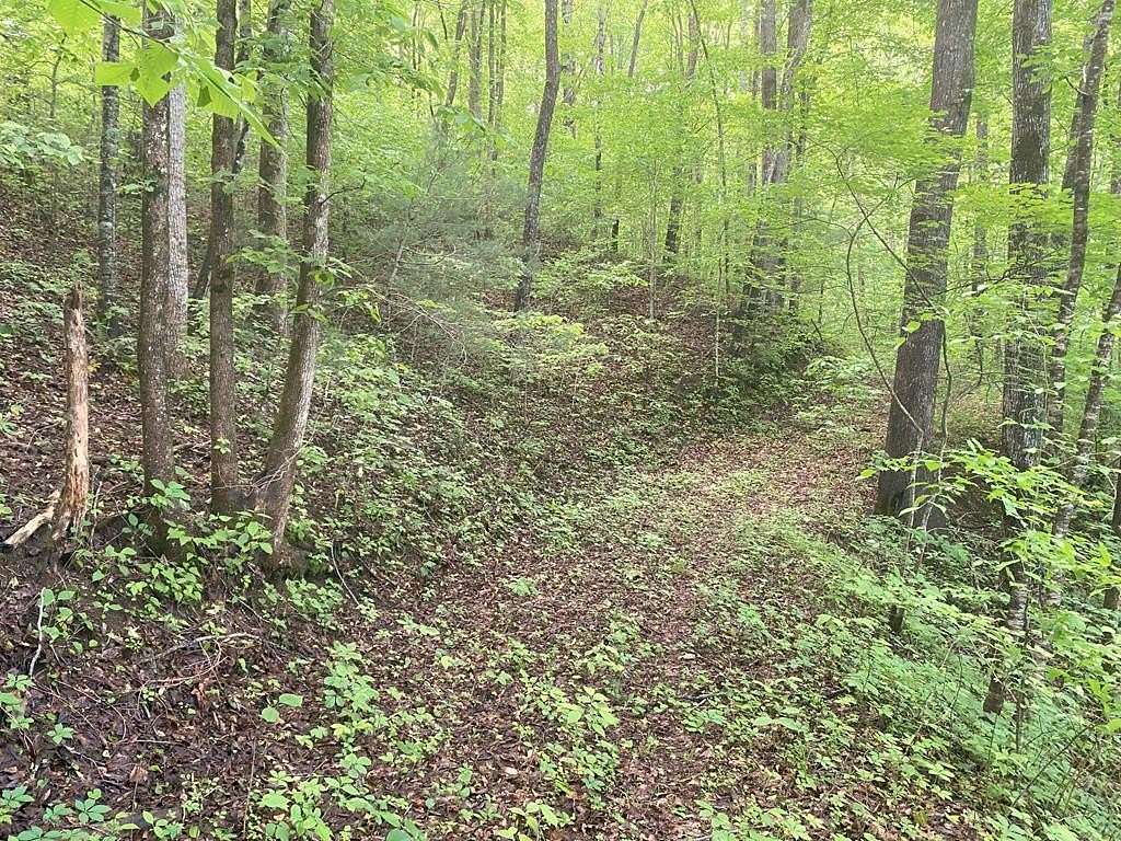 15.2 Acres of Land for Sale in Franklin, North Carolina