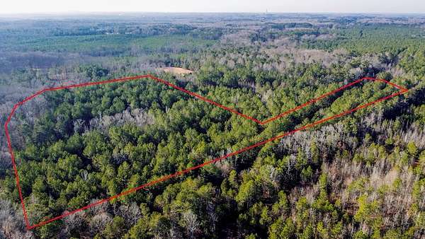 33 Acres of Land for Sale in Abbeville, South Carolina