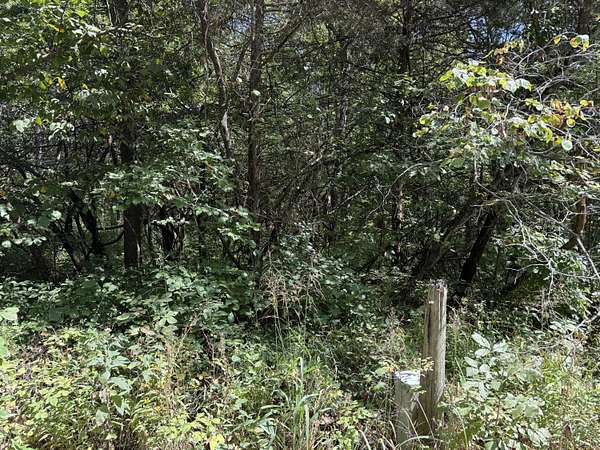 15 Acres of Recreational Land for Sale in Humansville, Missouri