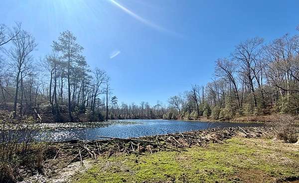 69.2 Acres of Land for Sale in Caret, Virginia
