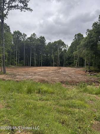 2 Acres of Residential Land for Sale in Hernando, Mississippi