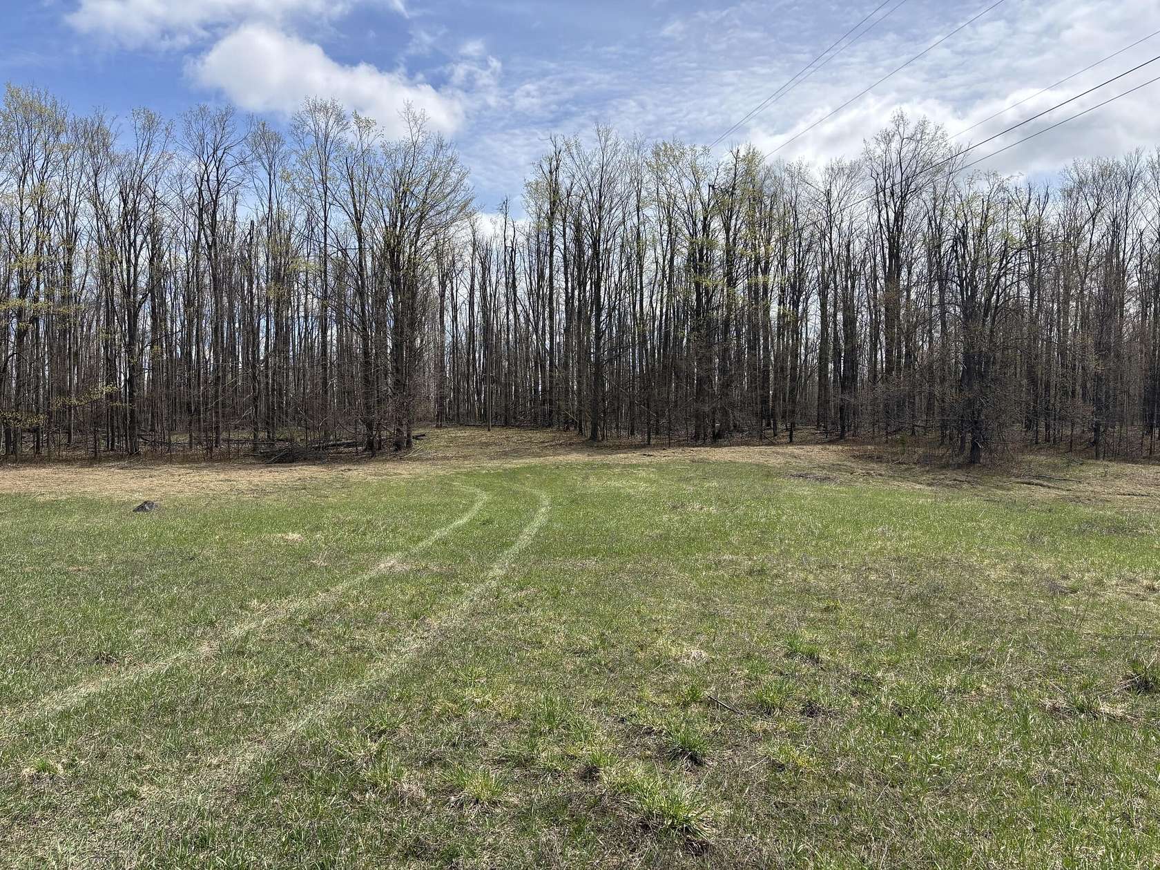10 Acres of Recreational & Residential Land for Sale in Gaylord, Michigan