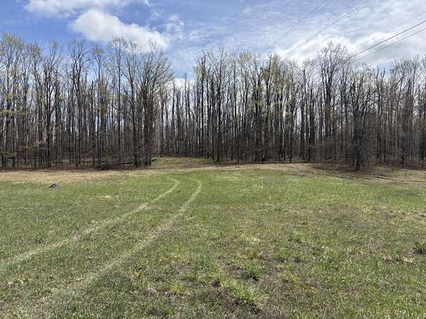 10 Acres of Recreational & Residential Land for Sale in Gaylord, Michigan