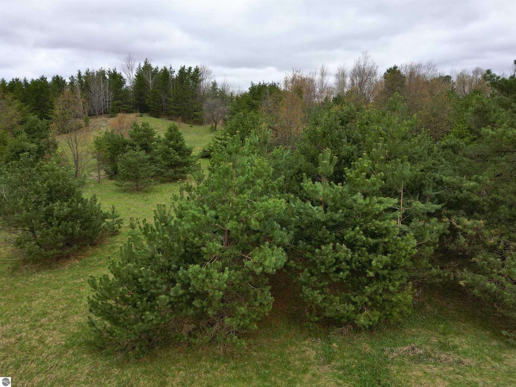 5 Acres of Land for Sale in Thompsonville, Michigan