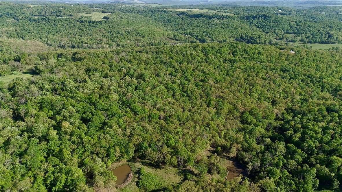 37.1 Acres of Land for Sale in Hindsville, Arkansas
