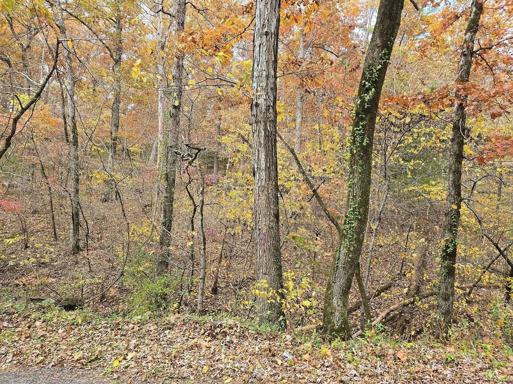 7.5 Acres of Land for Sale in Houston, Missouri