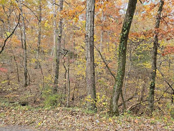 7.5 Acres of Land for Sale in Houston, Missouri