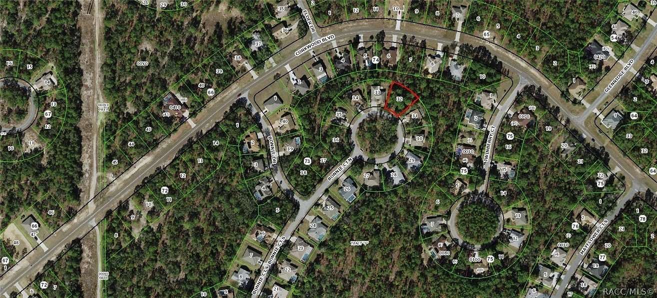 0.28 Acres of Residential Land for Sale in Homosassa, Florida
