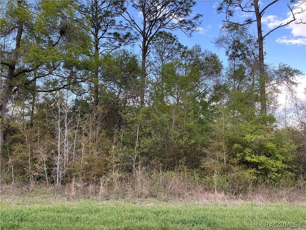 0.29 Acres of Residential Land for Sale in Citrus Springs, Florida