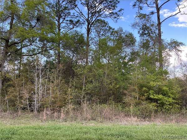 0.29 Acres of Residential Land for Sale in Citrus Springs, Florida