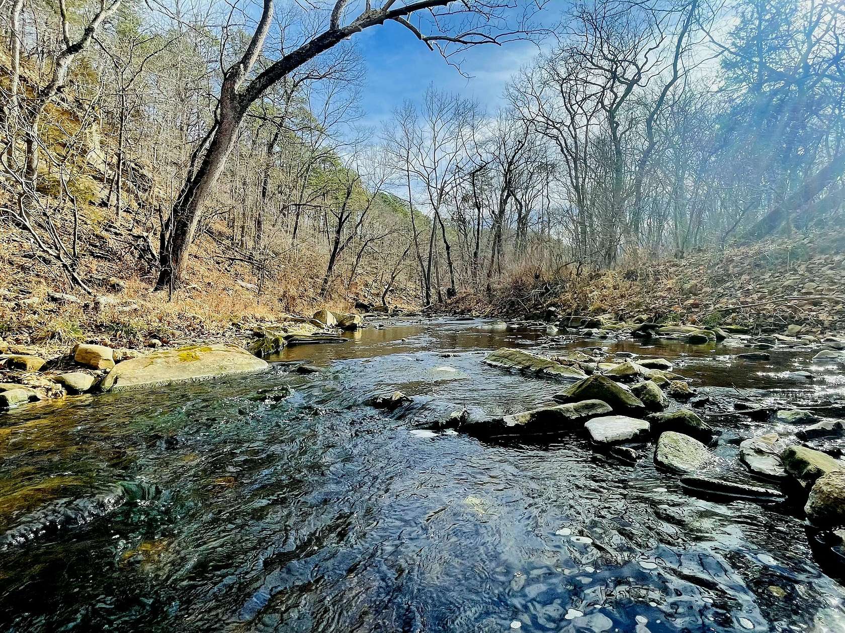 98 Acres of Land for Sale in Houston, Missouri