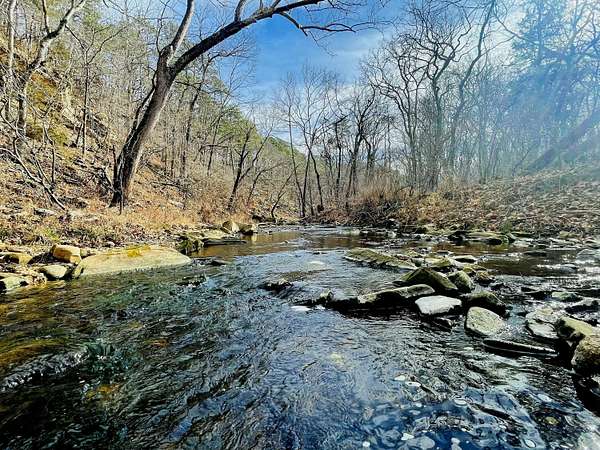 98 Acres of Land for Sale in Houston, Missouri