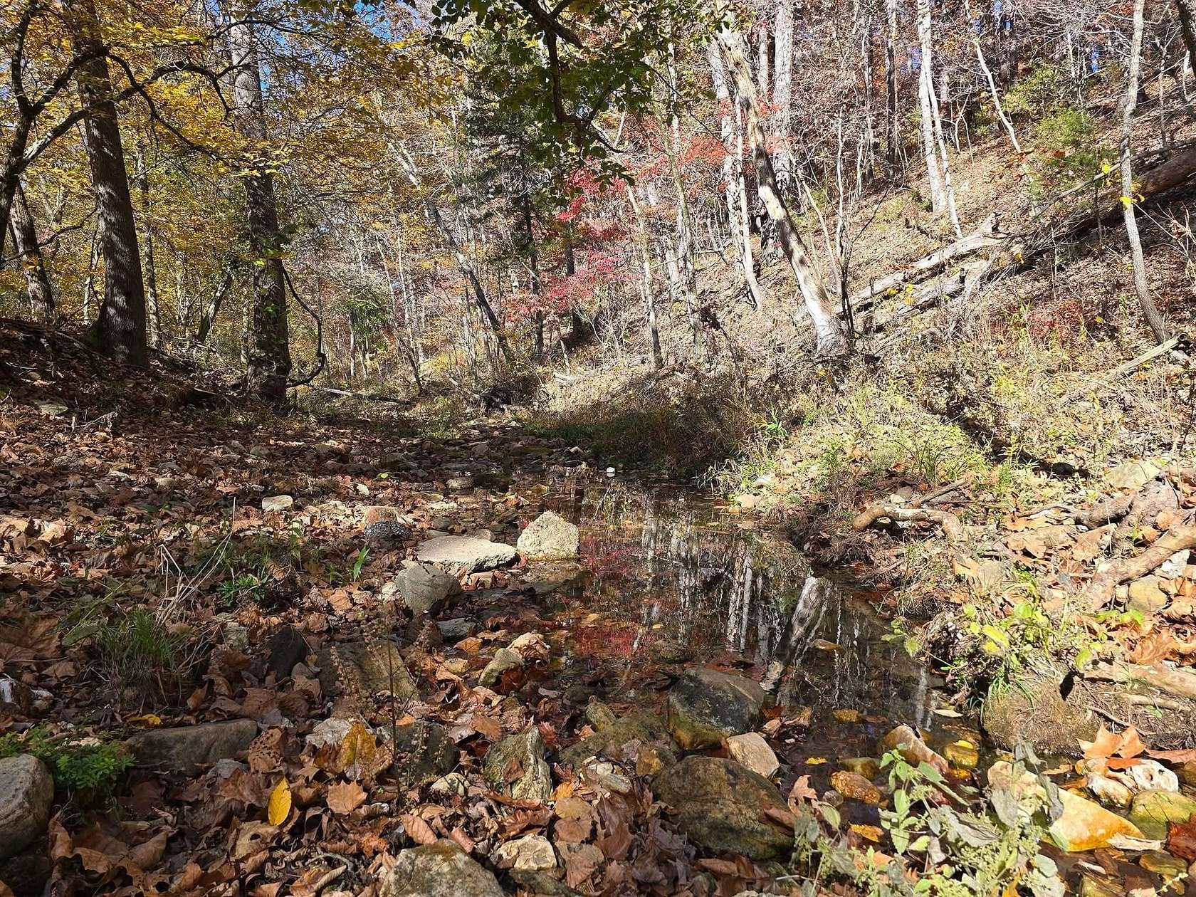 7.5 Acres of Land for Sale in Houston, Missouri