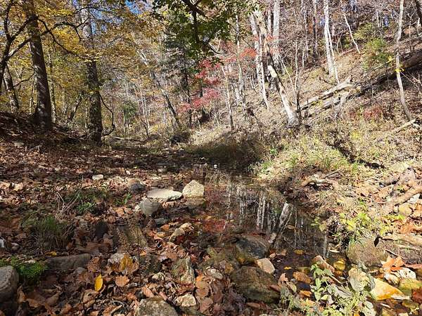 7.5 Acres of Land for Sale in Houston, Missouri