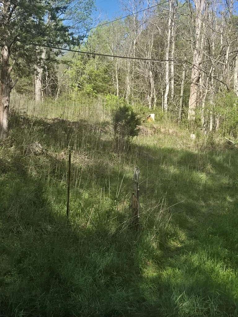 3 Acres of Residential Land for Sale in Ivanhoe, Virginia