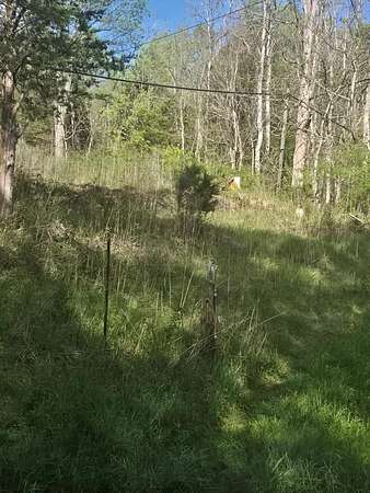 3 Acres of Residential Land for Sale in Ivanhoe, Virginia