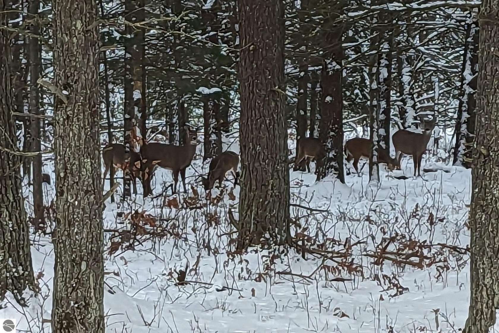 5 Acres of Land with Home for Sale in Fife Lake, Michigan