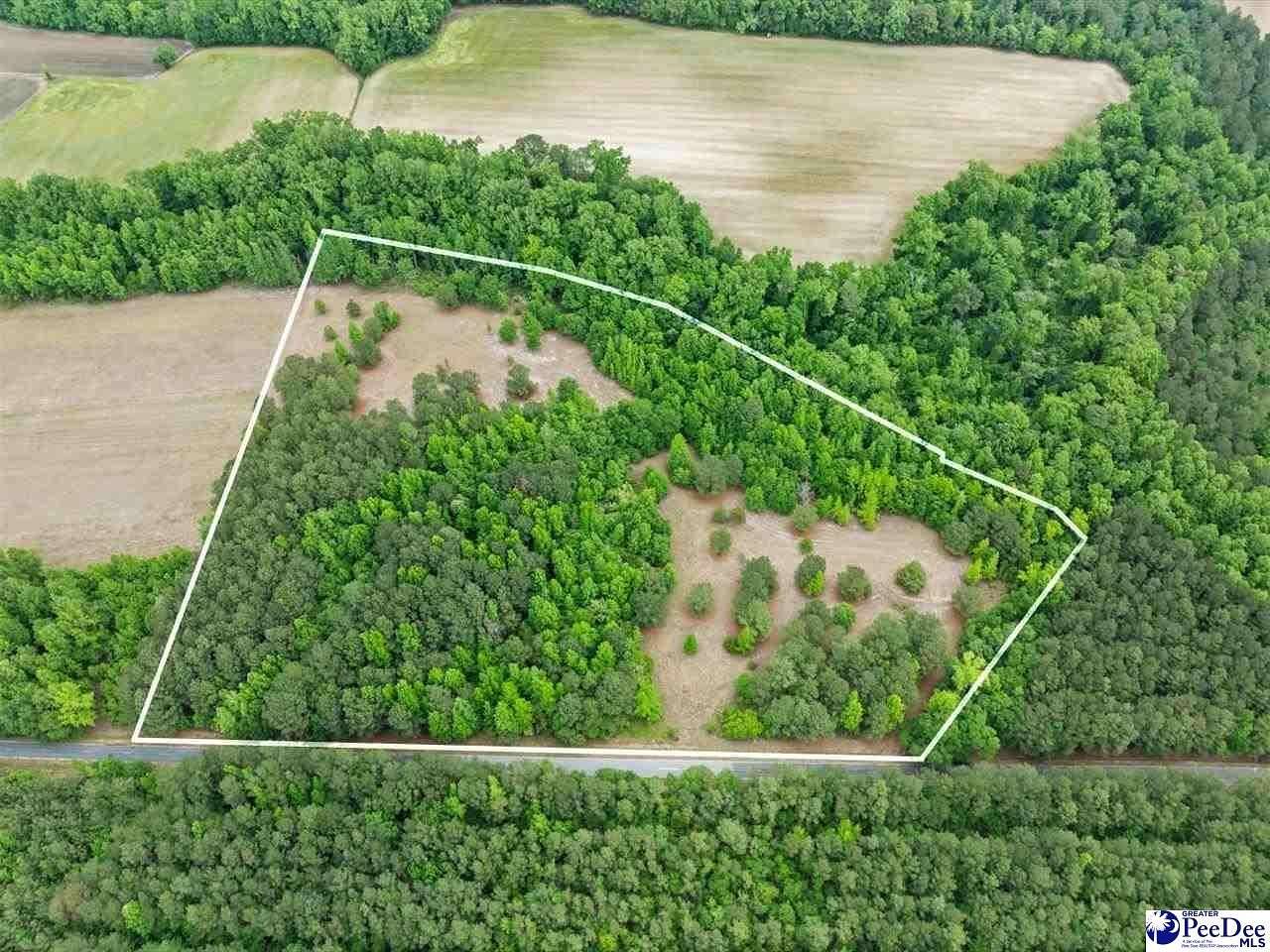 14 Acres of Recreational & Residential Land for Sale in McColl, South Carolina