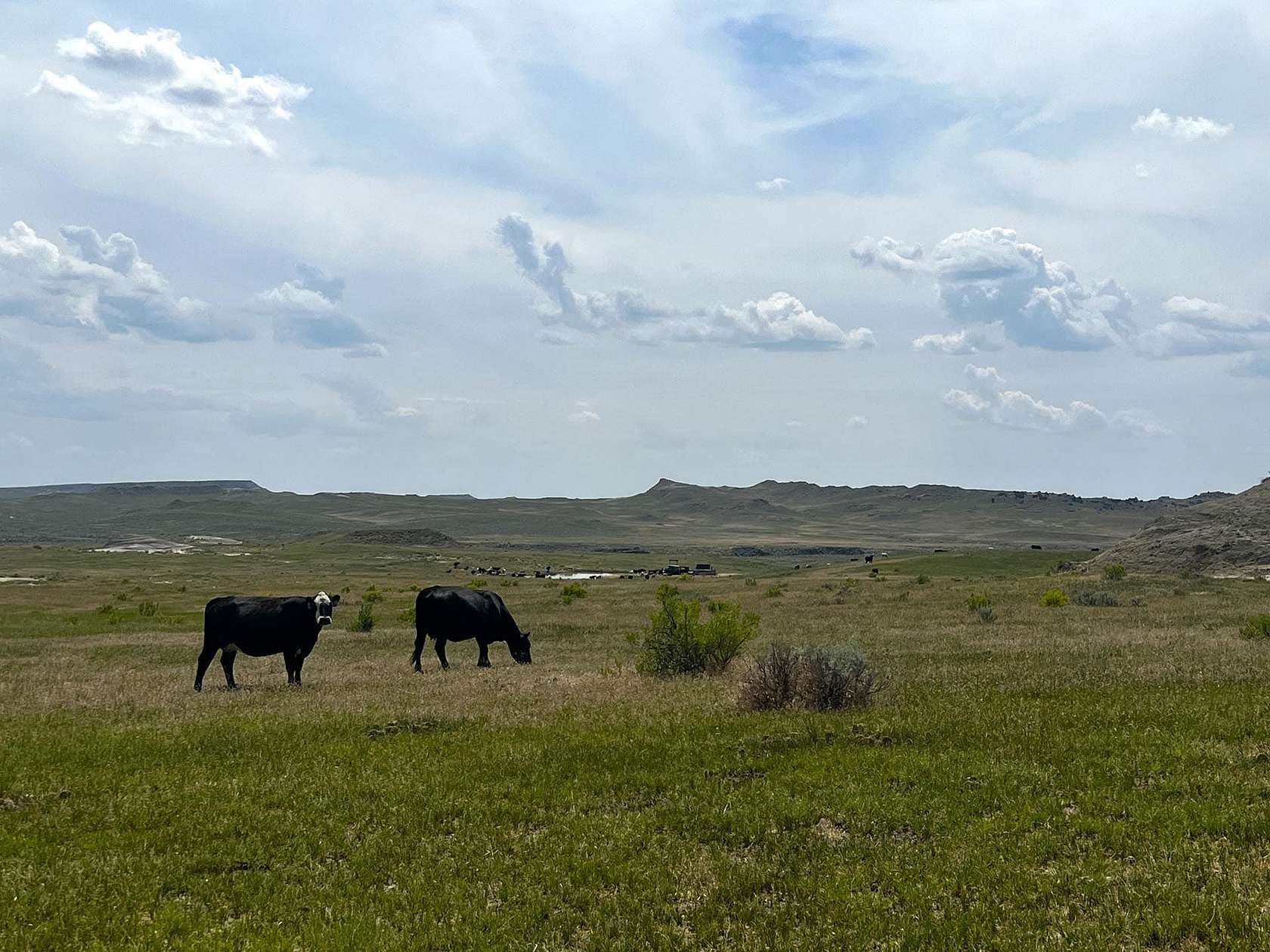 10,047 Acres of Land for Sale in Forsyth, Montana